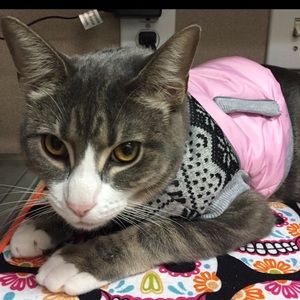 Pink Fleece Puffy Fur Baby Vest by PET Spirit